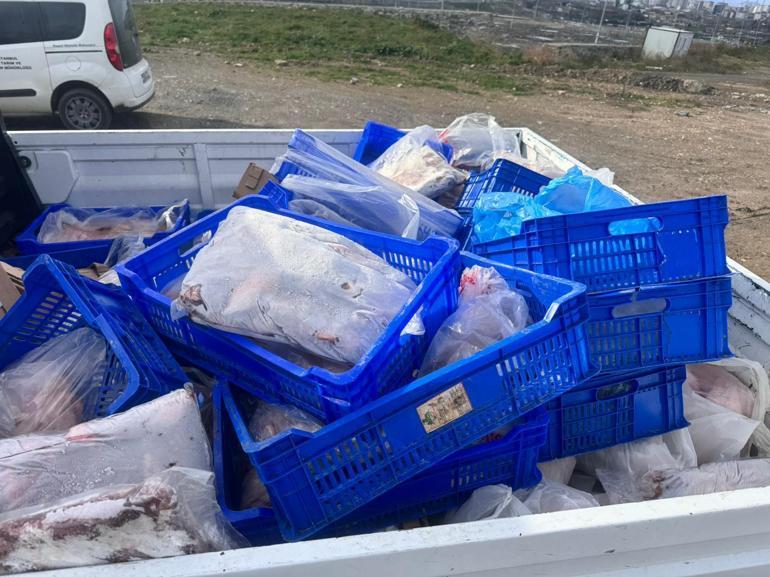 Sultangazide 300 kilogram kırmızı ve beyaz et imha edildi