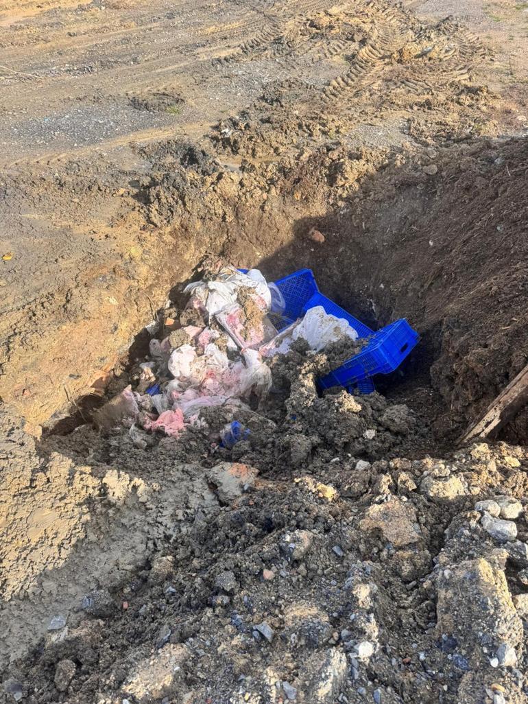 Sultangazide 300 kilogram kırmızı ve beyaz et imha edildi