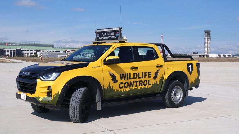 İstanbul ve Sabiha Gökçen havalimanlarında kuş sürüleri için ornitologlar görev başında