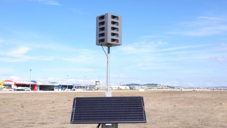 İstanbul ve Sabiha Gökçen havalimanlarında kuş sürüleri için ornitologlar görev başında