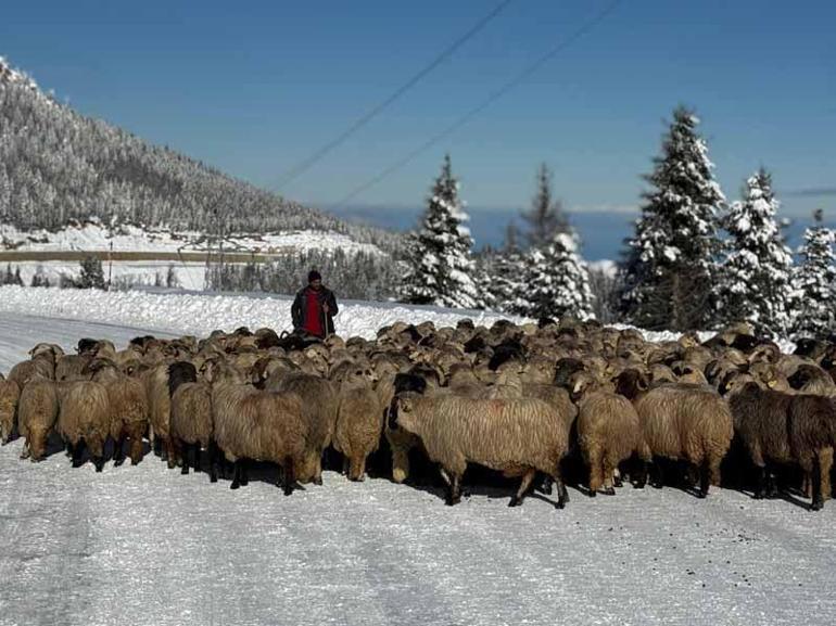 Karla kaplı yaylalarda dönüş yolculuğu