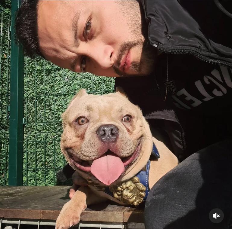 Şişli’de otomobilin yayalara çarptığı kazada ölenlerin isimleri belli oldu; köpeğini gezdirmeye çıkmış