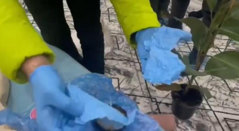 Bitlis’te uyuşturucu operasyonu: 5 tutuklama