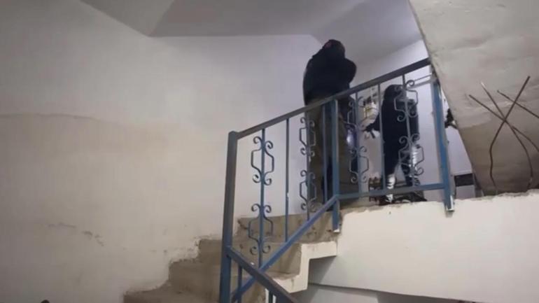 İstanbulda DEAŞ operasyonu: 7 gözaltı