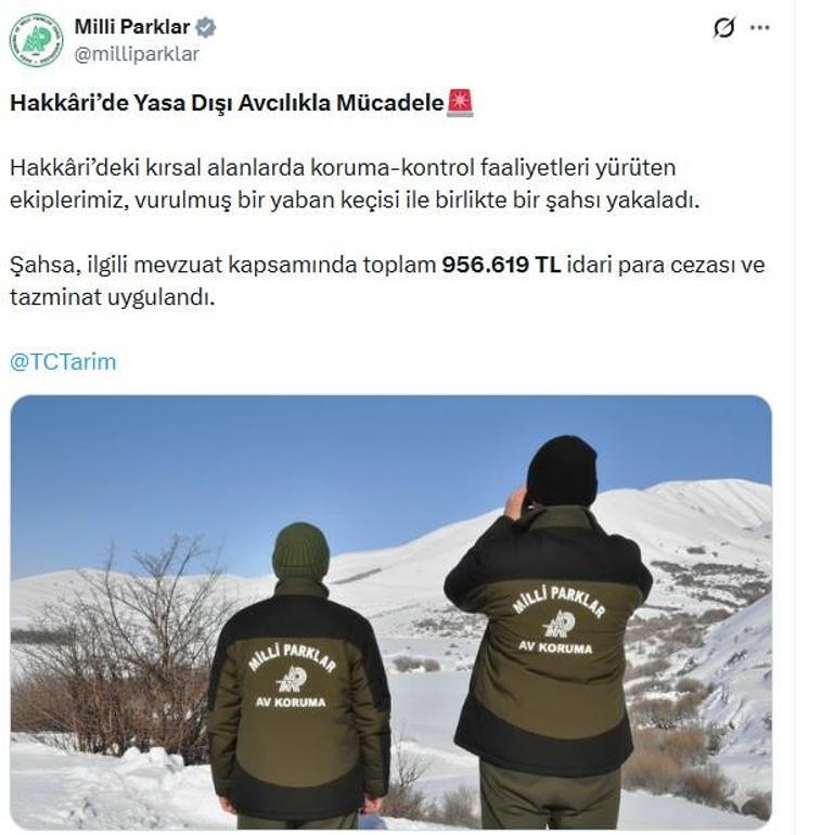 Yaban keçisi vuran avcıya 956 bin TL ceza