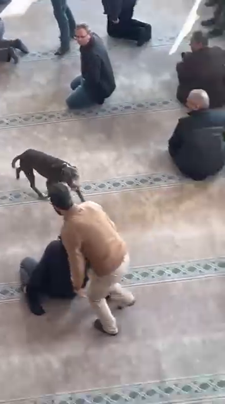 Cuma vaazı sırasında camiye pitbullun girdiği anlar kamerada