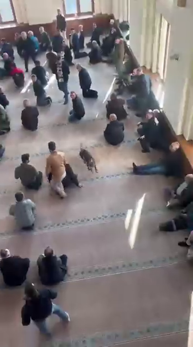 Cuma vaazı sırasında camiye pitbullun girdiği anlar kamerada