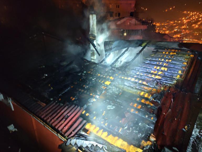 Yanan evden mahsur kalan papağanı itfaiye kurtardı