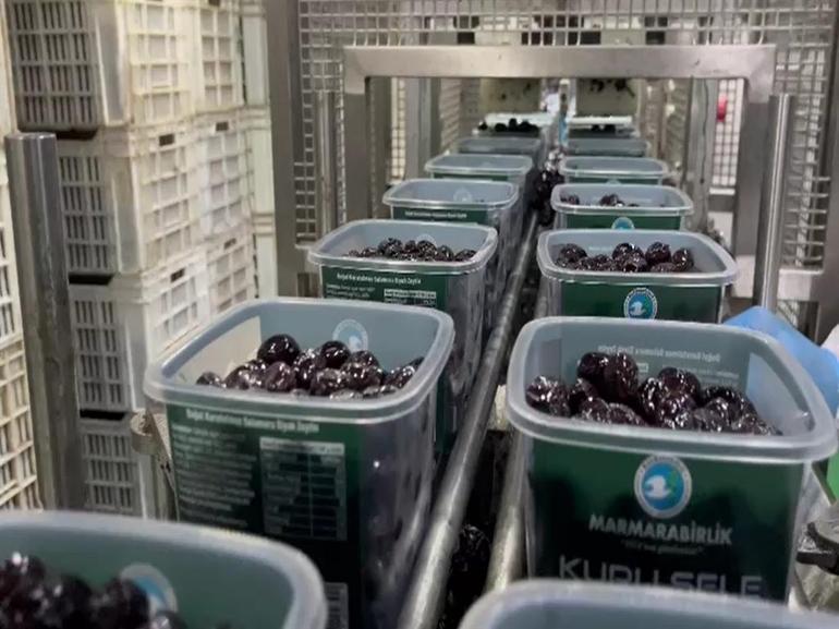 65 ülkeye ihraç edilen Türk zeytini, zeytinyağlı çikolata ve kozmetik ürünlerle de raflarda yer alacak