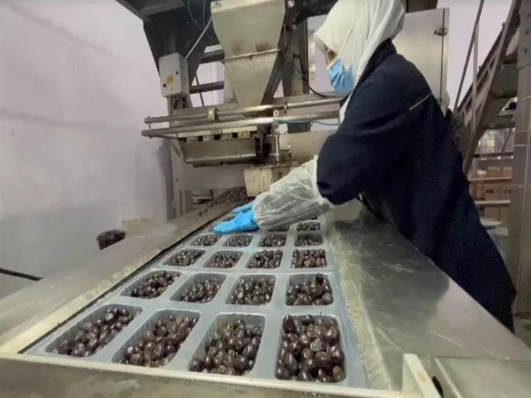 65 ülkeye ihraç edilen Türk zeytini, zeytinyağlı çikolata ve kozmetik ürünlerle de raflarda yer alacak