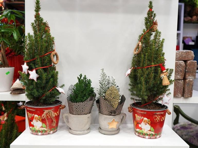 Yeni yıl sepetleri 3 bin liradan, canlı çamlar 1200 liradan alıcı buluyor