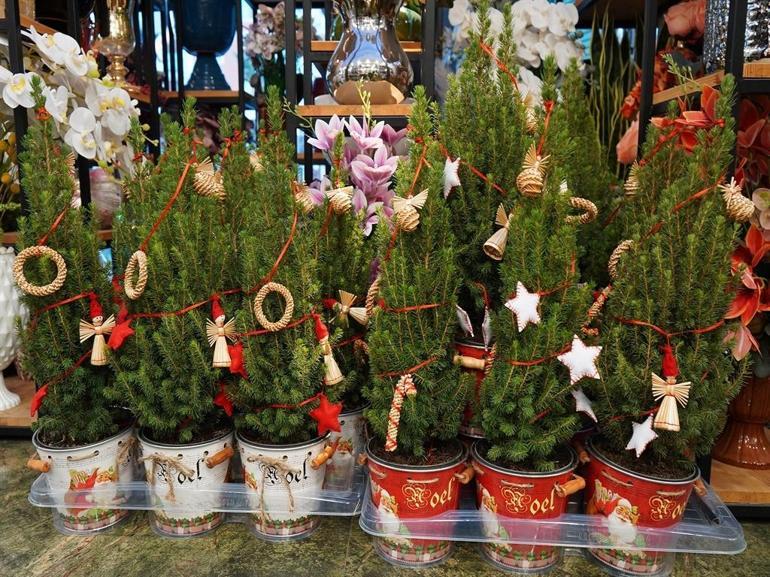 Yeni yıl sepetleri 3 bin liradan, canlı çamlar 1200 liradan alıcı buluyor