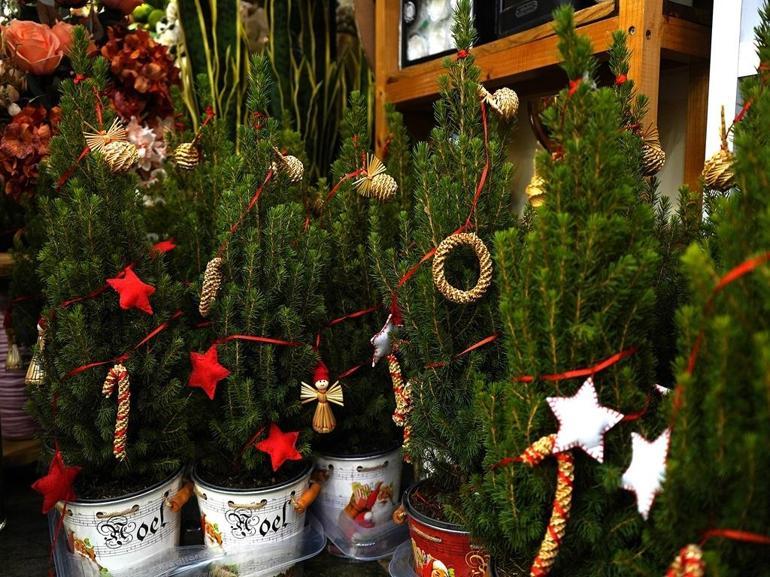 Yeni yıl sepetleri 3 bin liradan, canlı çamlar 1200 liradan alıcı buluyor