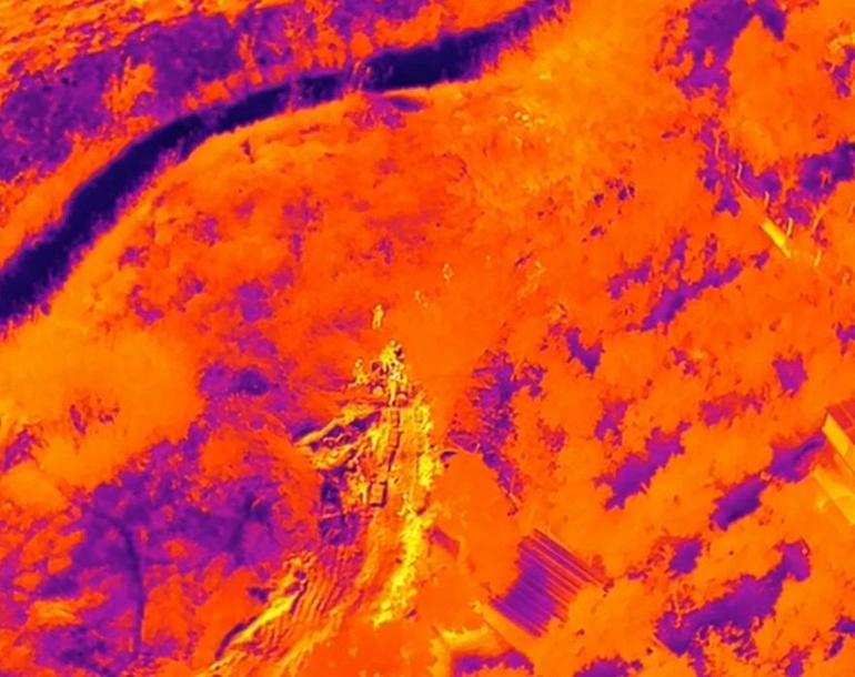 Aranan hükümlü sazlıkta yakalandı