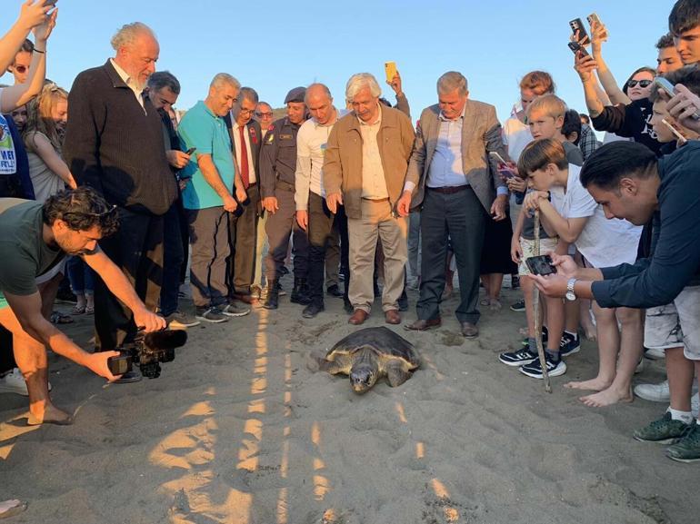 Caretta caretta Cumhuriyeti 9 bin kişi izledi