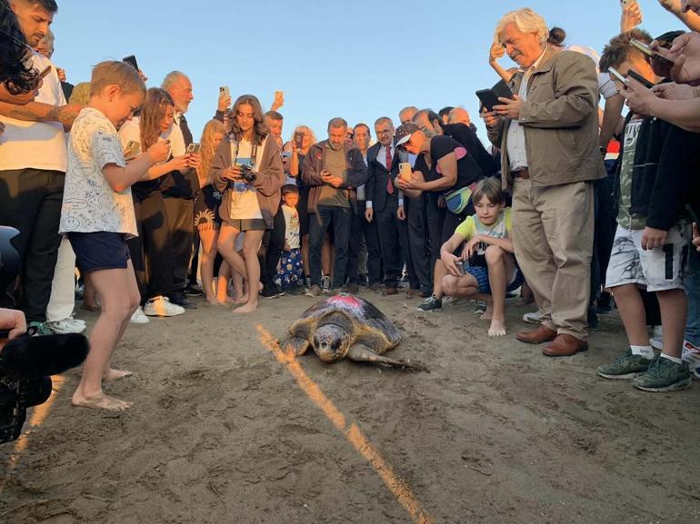 Caretta caretta Cumhuriyeti 9 bin kişi izledi