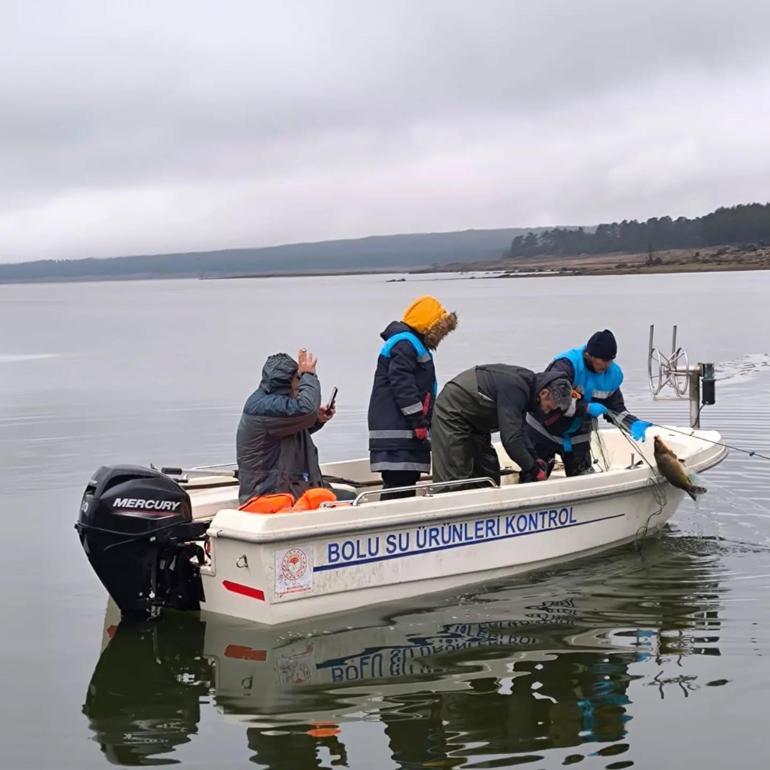 Kaçak ağa takılan 105 sazan canlı kurtarıldı
