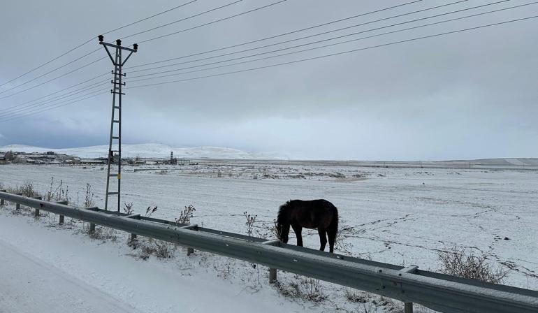 Ağrıda kar yağışı