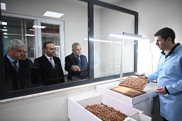 Sanayi ve Teknoloji Bakanı Mehmet Fatih Kacır: Bu yatırımla hem fındık üreticimiz kazanacak hem de sanayimiz yerli hammaddeye kavuşacak