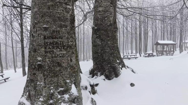 Kuzuyayla Tabiat Parkı’nda kar manzarası