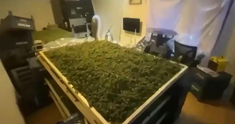 65 ilde uyuşturucu operasyonu; 768 gözaltı