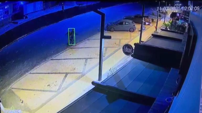 Ayşe Tokyaz cinayeti davası: 9 sanık ilk kez hakim karşısına çıkacak