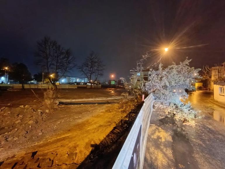Bursa’da kuvvetli rüzgar nedeniyle ağaç devrildi