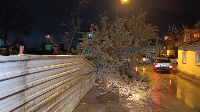 Bursa’da kuvvetli rüzgar nedeniyle ağaç devrildi