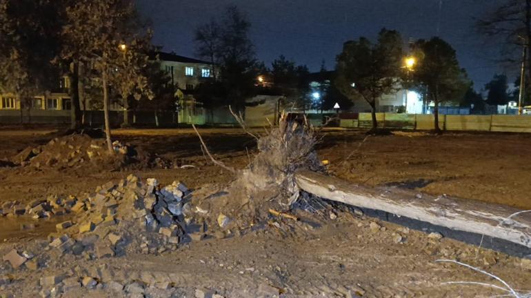 Bursa’da kuvvetli rüzgar nedeniyle ağaç devrildi