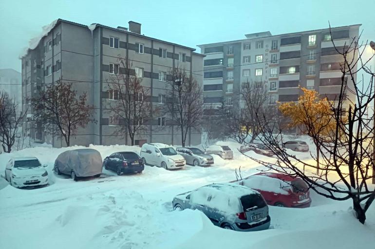 Bitliste yüksek gerilim hattında zorlu kış mesaisi