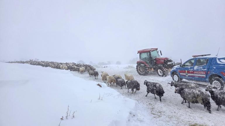 Artvin’de çığ düştü; kar altında kalan 3 çobandan 1’i öldü, 2’si aranıyor