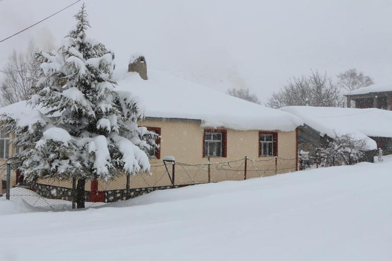 Karlıova’da 25 köy yolu kardan kapandı