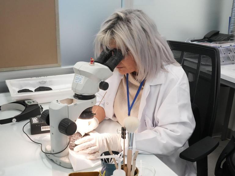 Bakan Ersoydan Konservasyon Laboratuvarına ziyaret