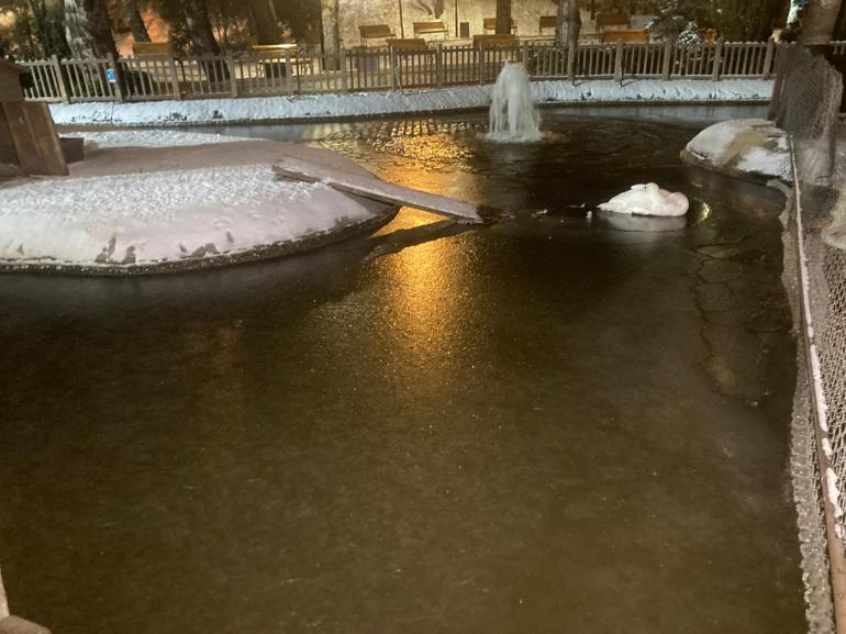 Ankaranın simgelerinden Kuğulu Parktaki havuz buz tuttu
