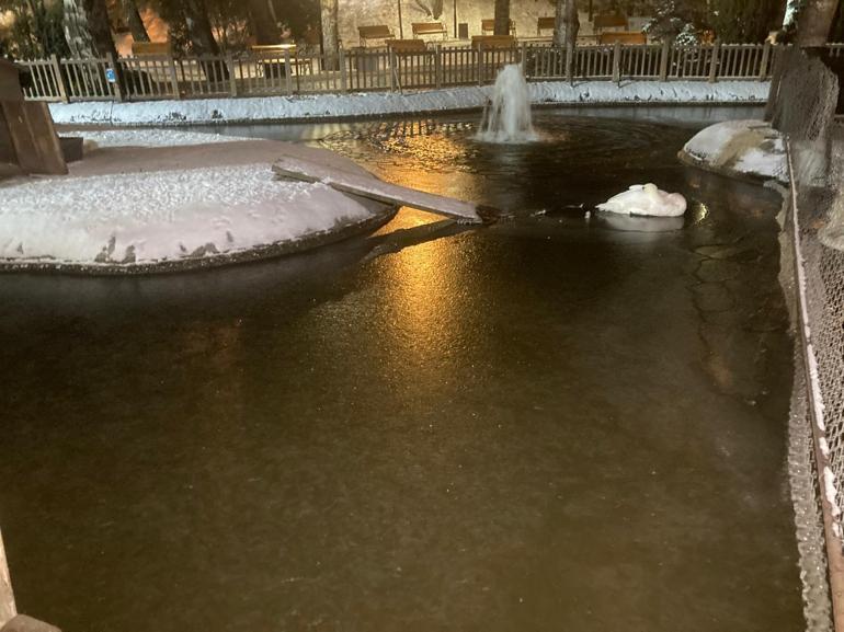 Ankaranın simgelerinden Kuğulu Parktaki havuz buz tuttu