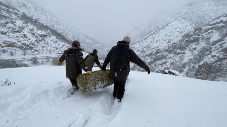 Yurtta kar yağışı etkili oldu; bazı il ve ilçelerde eğitime ara verildi