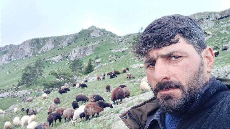 Artvinde çığ altında kalan çoban aranıyor