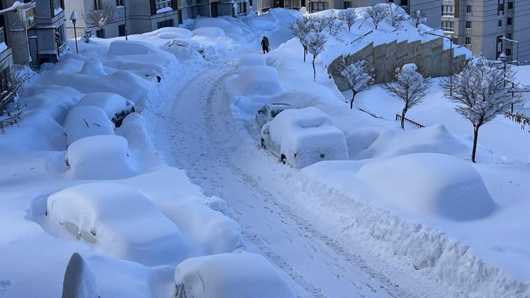 Yurtta kar yağışı etkili oldu; bazı il ve ilçelerde eğitime ara verildi