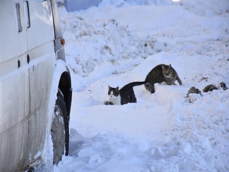Yurtta kar yağışı etkili oldu; bazı il ve ilçelerde eğitime ara verildi