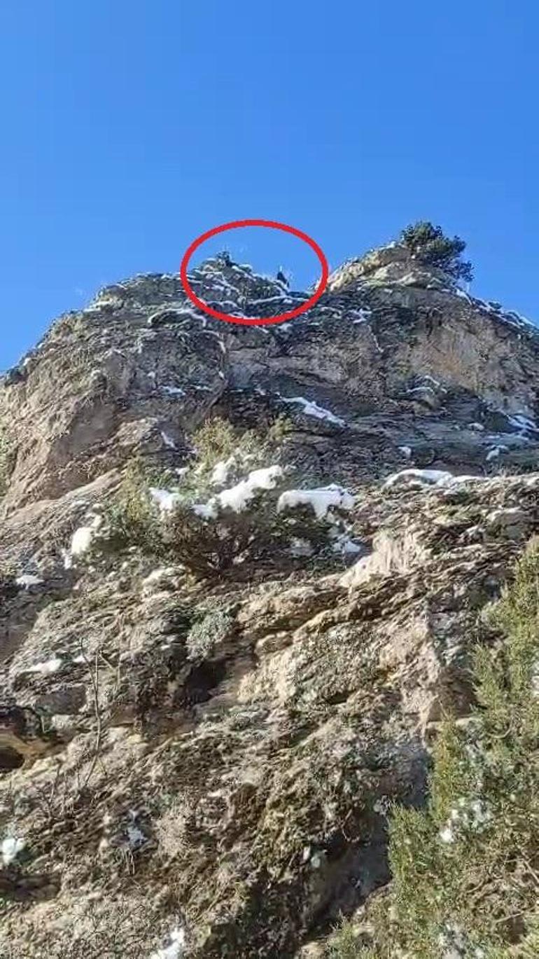 Feke’de dağda mahsur kalan 18 keçi kurtarılmayı bekliyor