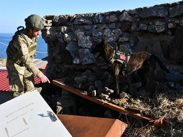 MSBden Askeri Köpekli Tim eğitimi paylaşımı