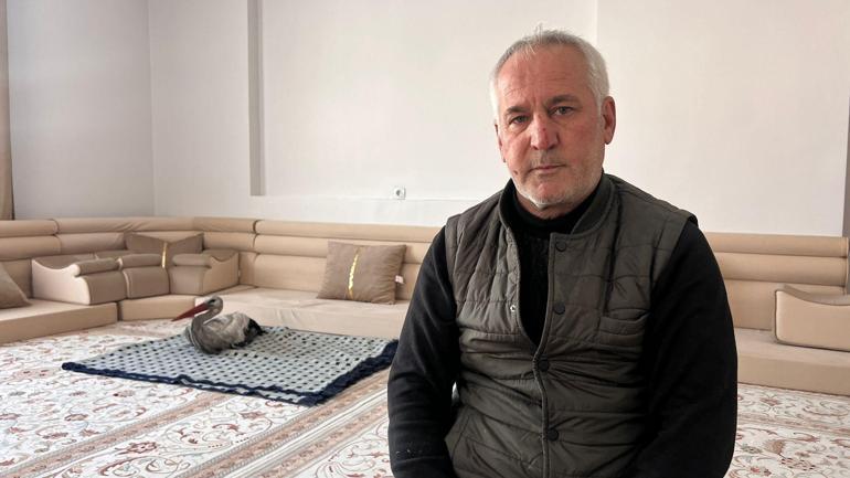 Donmak üzereyken bulduğu leyleği evinde hayata döndürdü