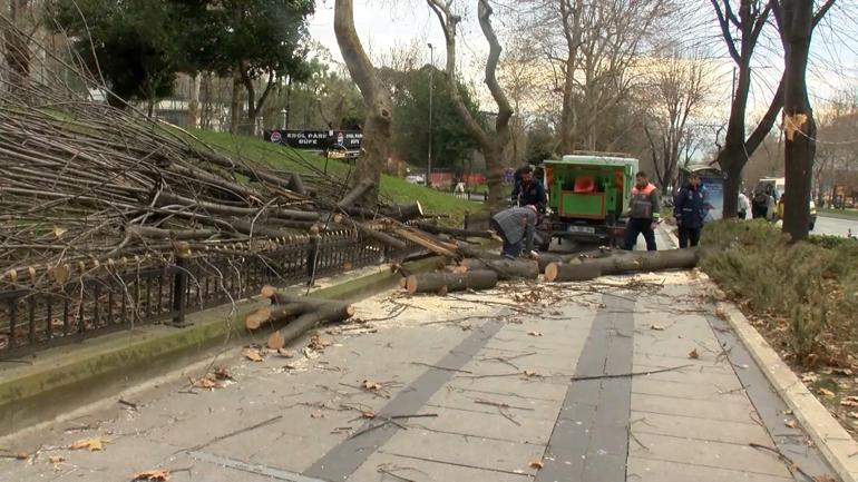 Şişli ve Beşiktaş’ta ağaçlar park halindeki araçların üzerine devrildi