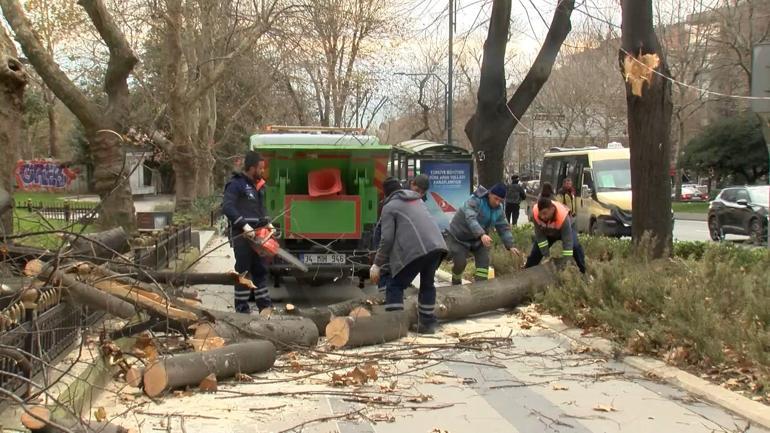 Şişli ve Beşiktaş’ta ağaçlar park halindeki araçların üzerine devrildi