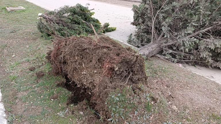 Bursada lodos etkili oldu; reklam tabelaları devrildi