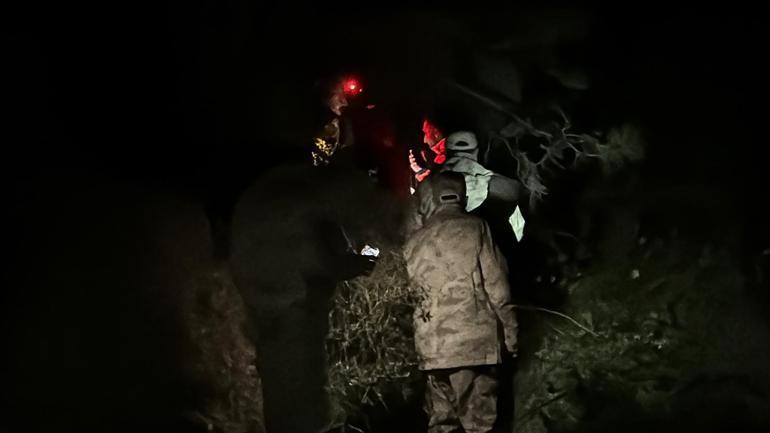 Sarıyer’de ormanda kaybolan kadın kayalıklara düştü; 7 saatlik çalışmayla denizden kurtarıldı