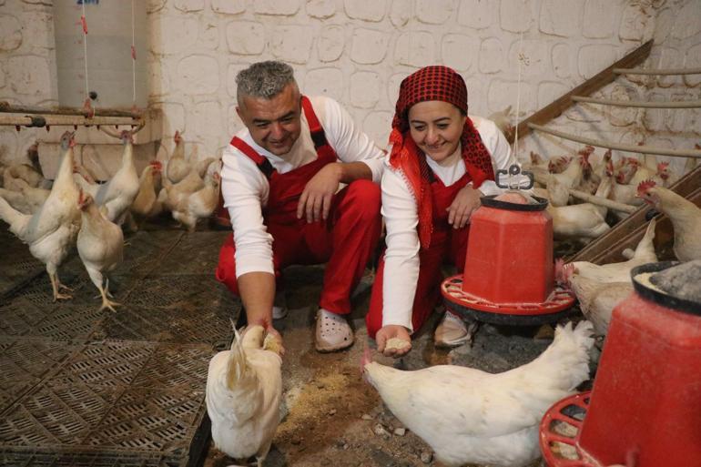 Türk sanat müziği dinlettiği tavuklardan yüzde 6 verim artışı sağladı