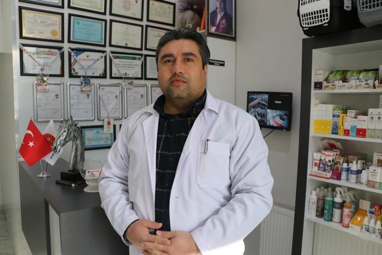 Türk sanat müziği dinlettiği tavuklardan yüzde 6 verim artışı sağladı