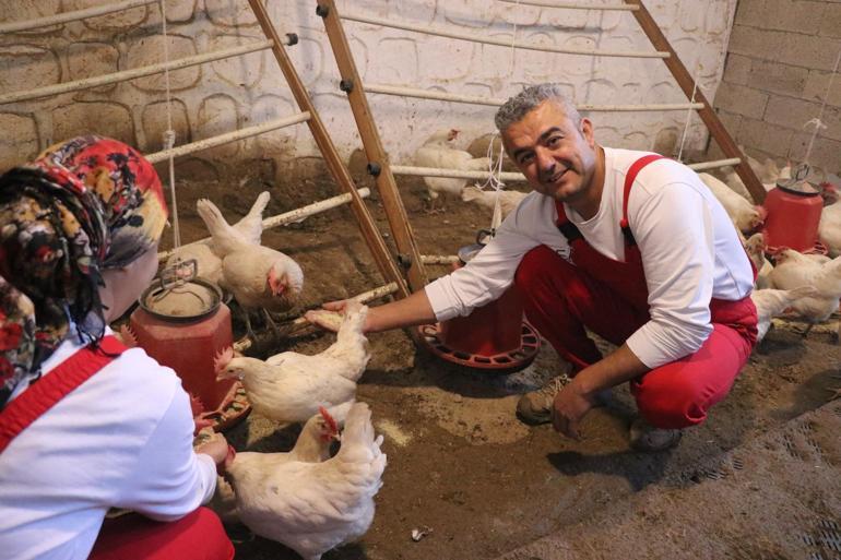 Türk sanat müziği dinlettiği tavuklardan yüzde 6 verim artışı sağladı