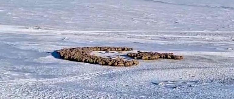 Karla kaplı arazide ay yıldız oluşturdu